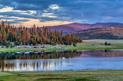 Commercial Drone Photographer & Digital Photographer Show Low Arizona