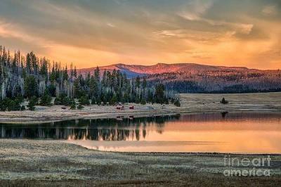 Commercial Drone Photographer & Digital Photographer Show Low Arizona